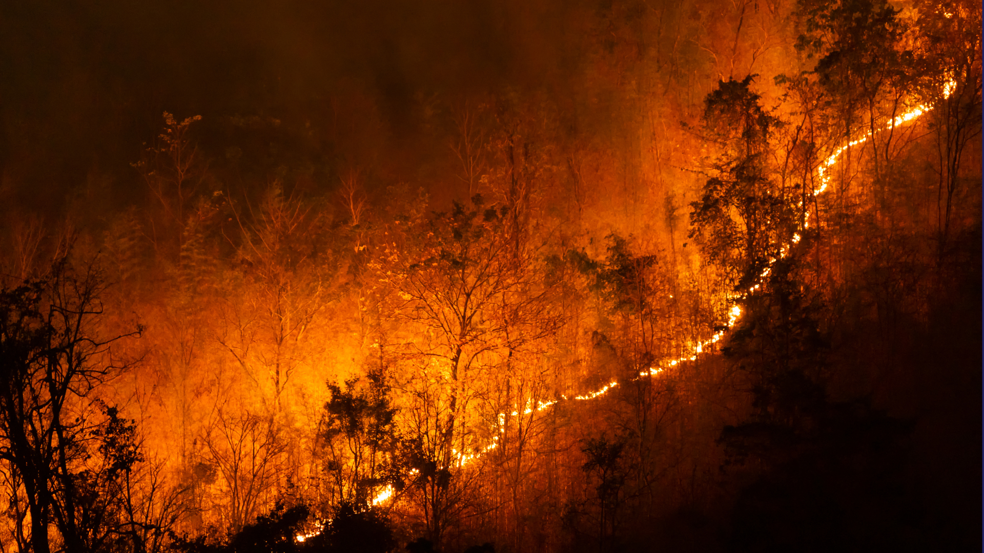 California Wildfires Rage Across Los Angeles